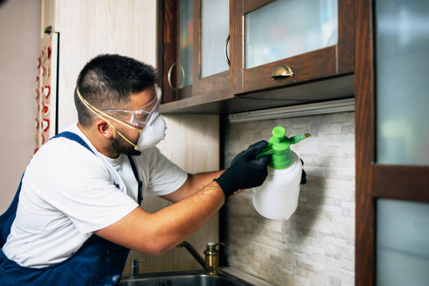 Trusted Zelienople, PA Pest Control Experts