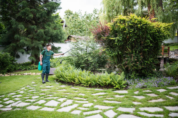 Best Wasp Removal Services  in Zelienople, PA