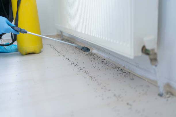 Best Commercial Pest Control Services  in Zelienople, PA
